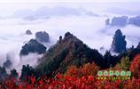 重慶市去到張家界旅游的旅行社團(tuán)隊(duì)優(yōu)惠折扣報價