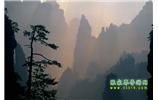 張家界國(guó)家森林公園、寶峰湖/黃龍洞、鳳凰古城、三峽八日游